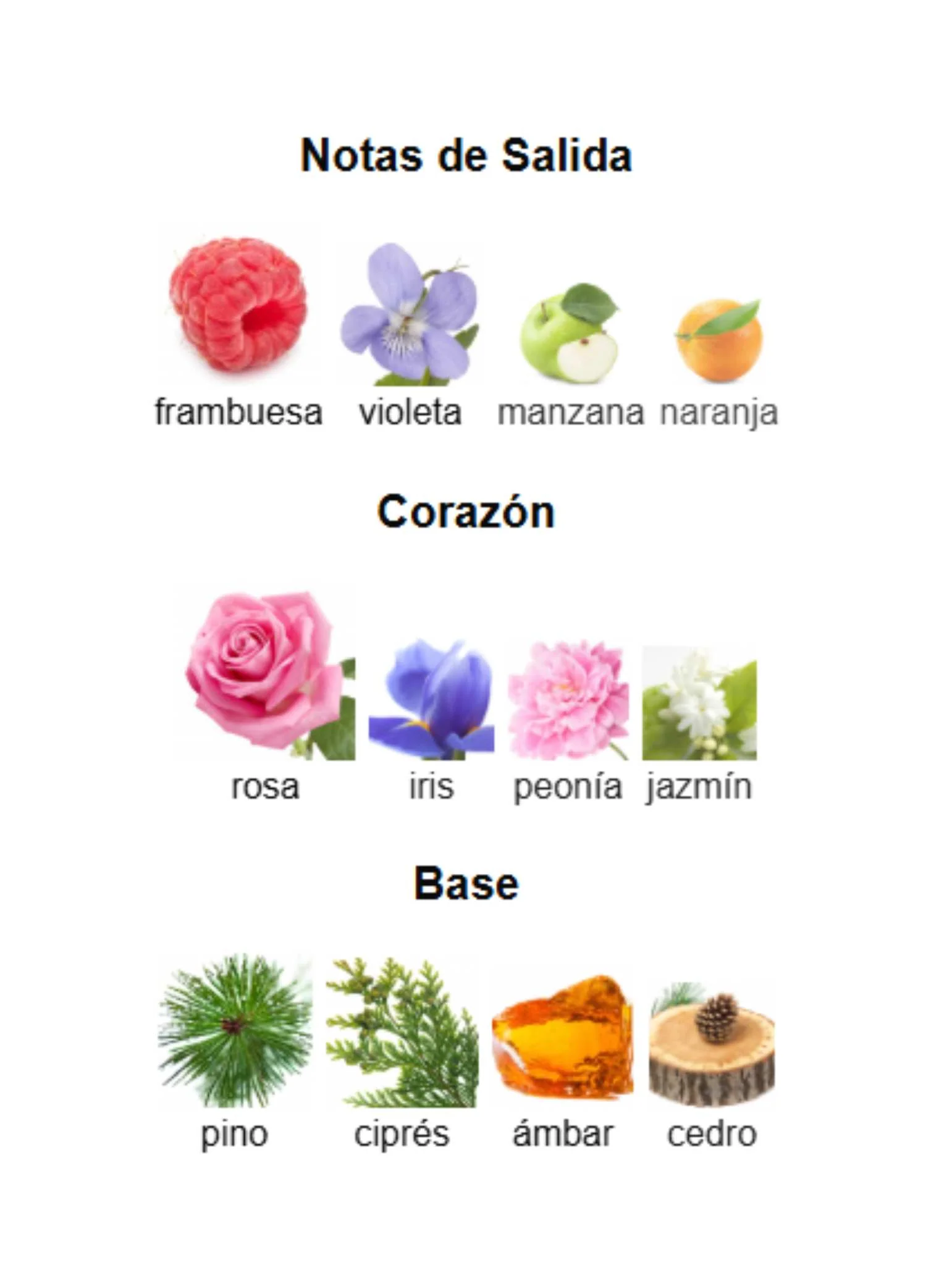 Imagen del producto 3