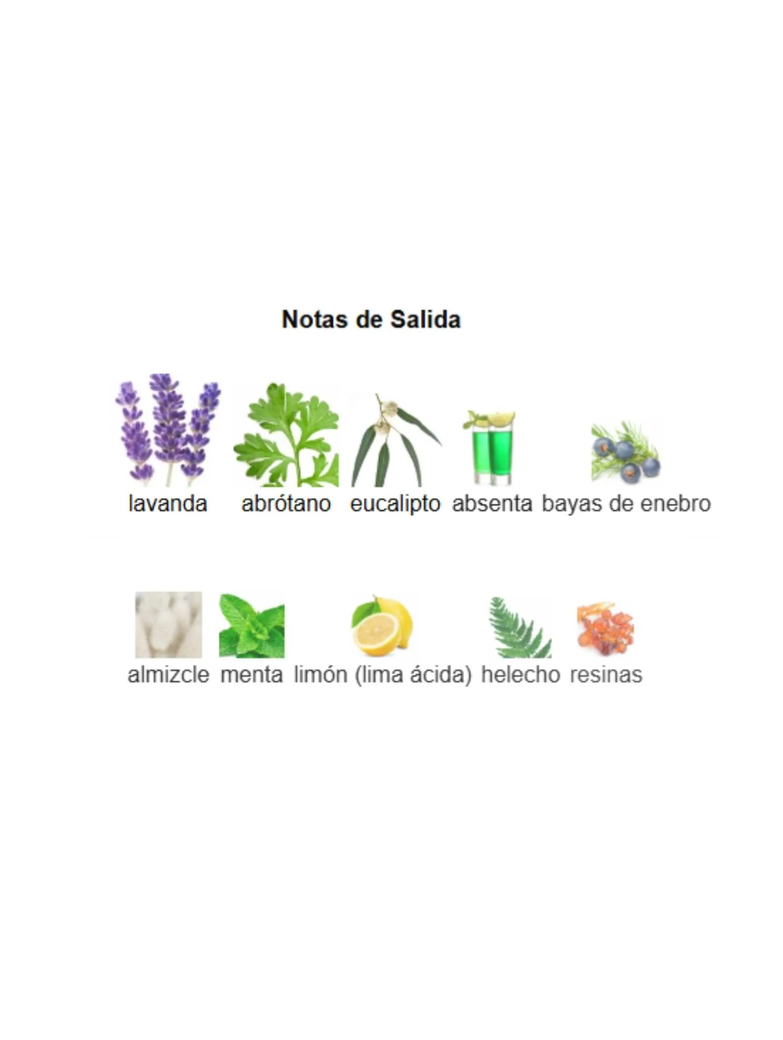 Imagen del producto 3