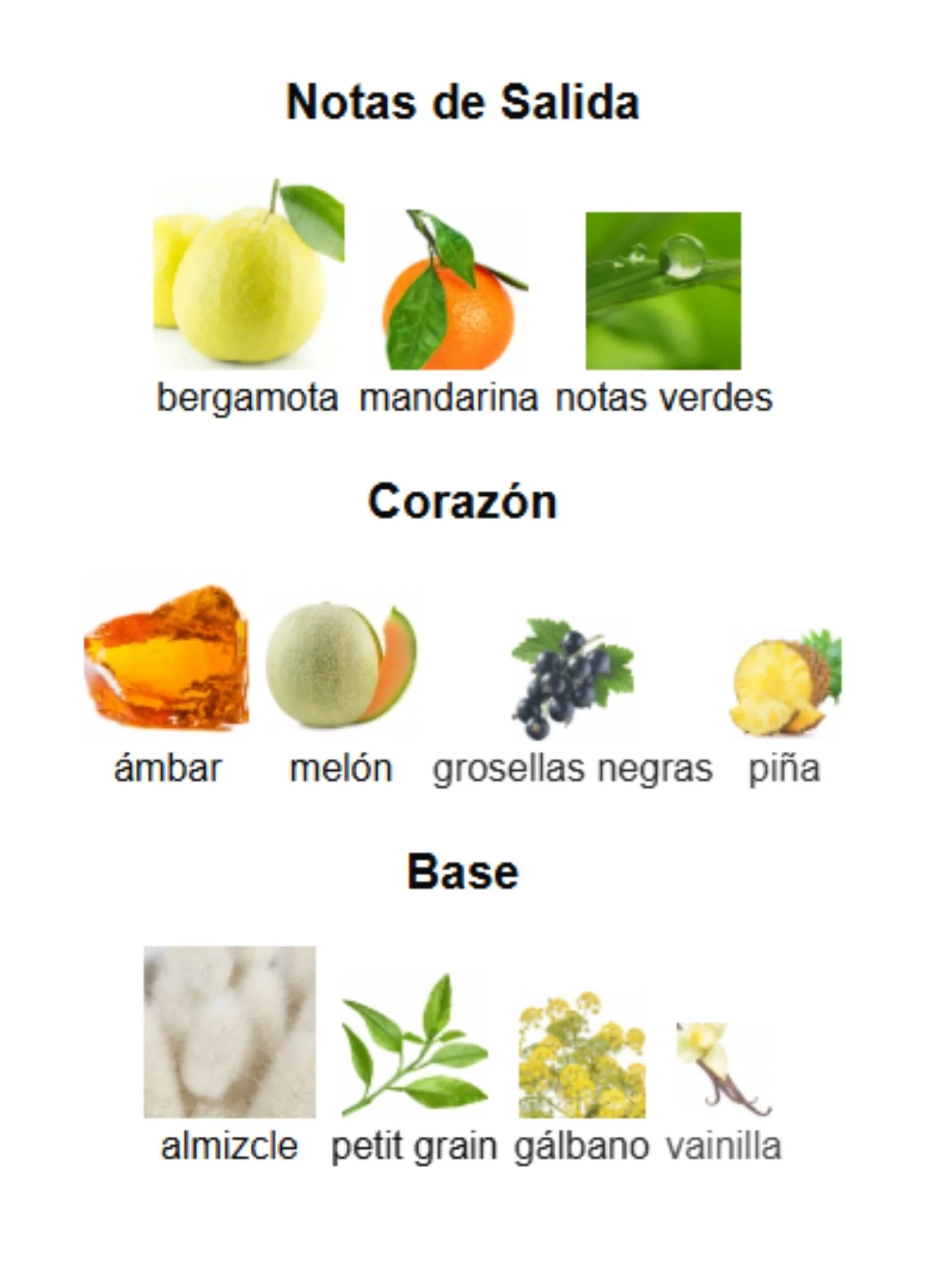 Imagen del producto 3