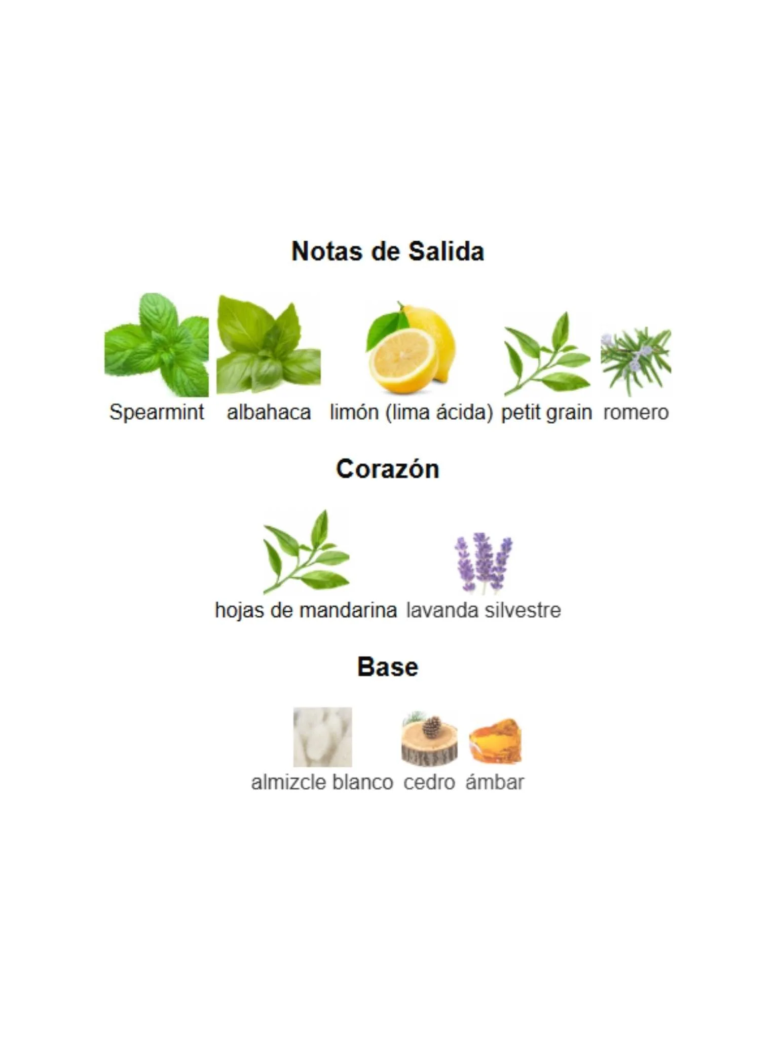 Imagen del producto 3