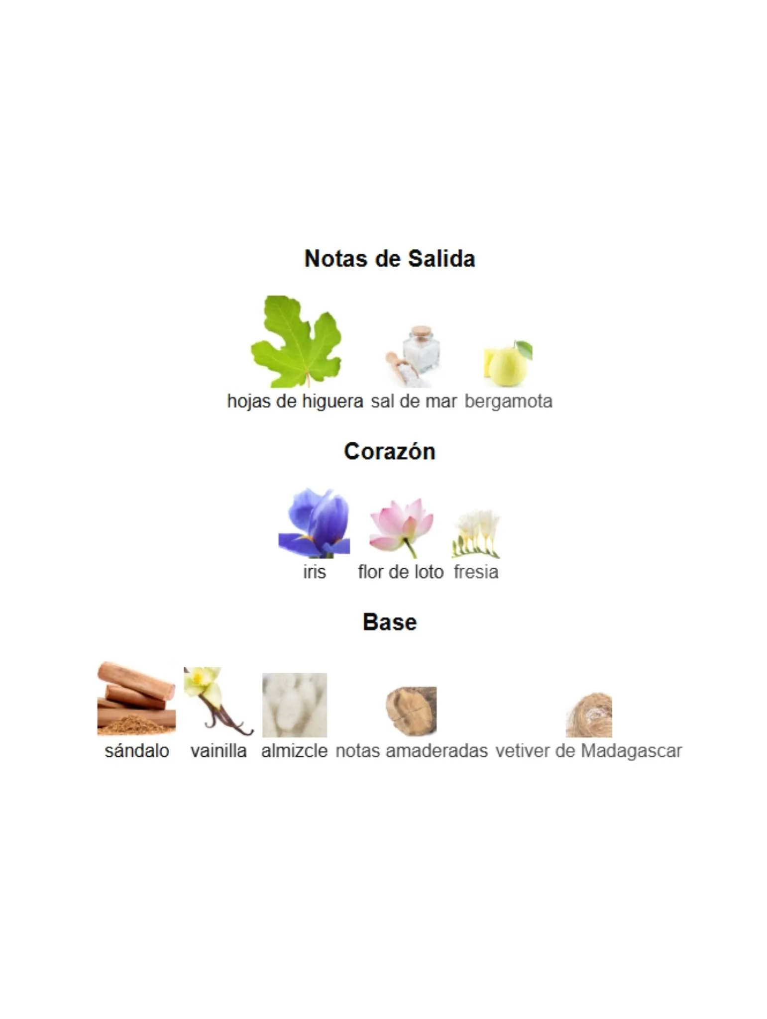 Imagen del producto 3