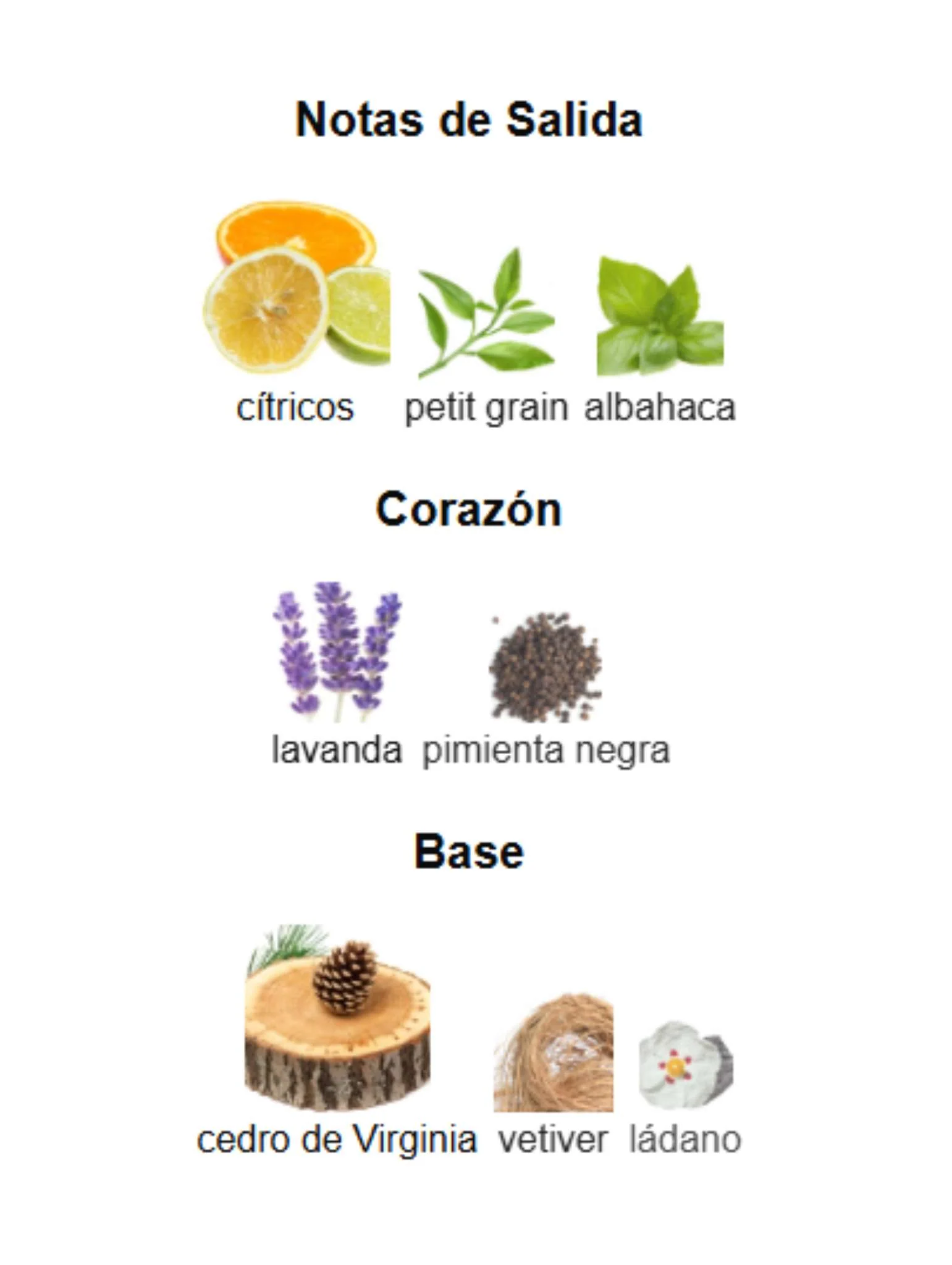 Imagen del producto 3