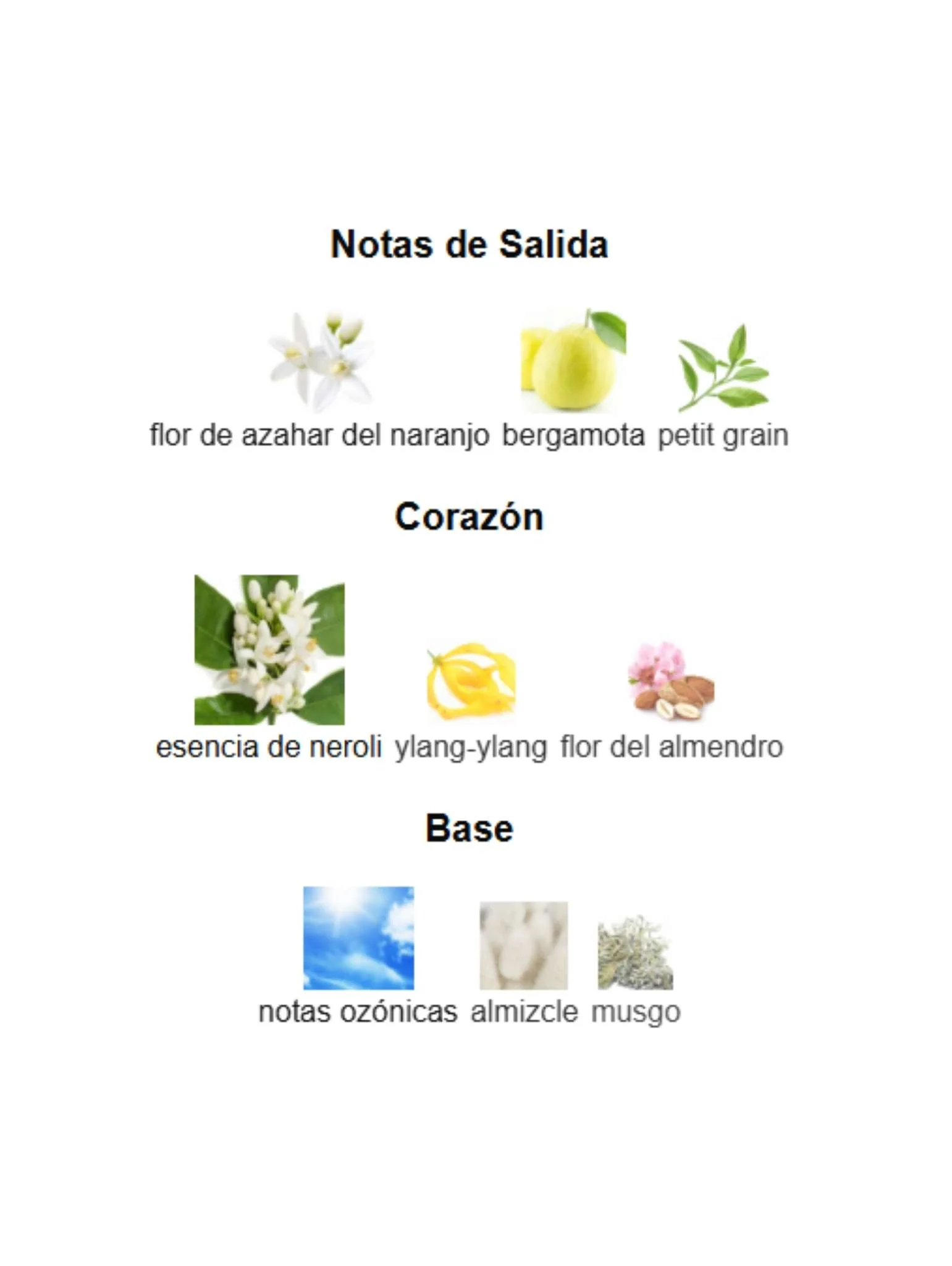 Imagen del producto 3