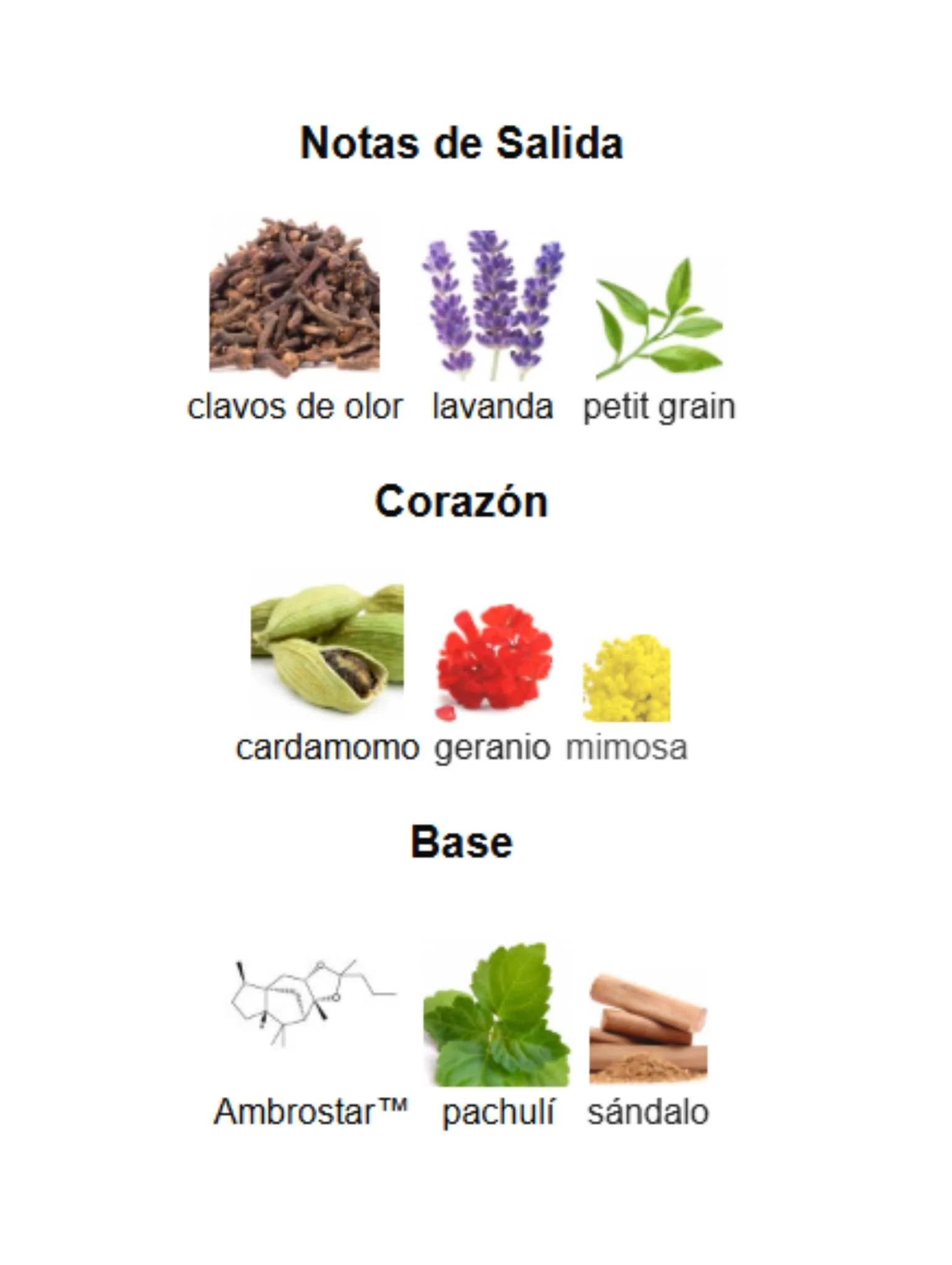 Imagen del producto 3