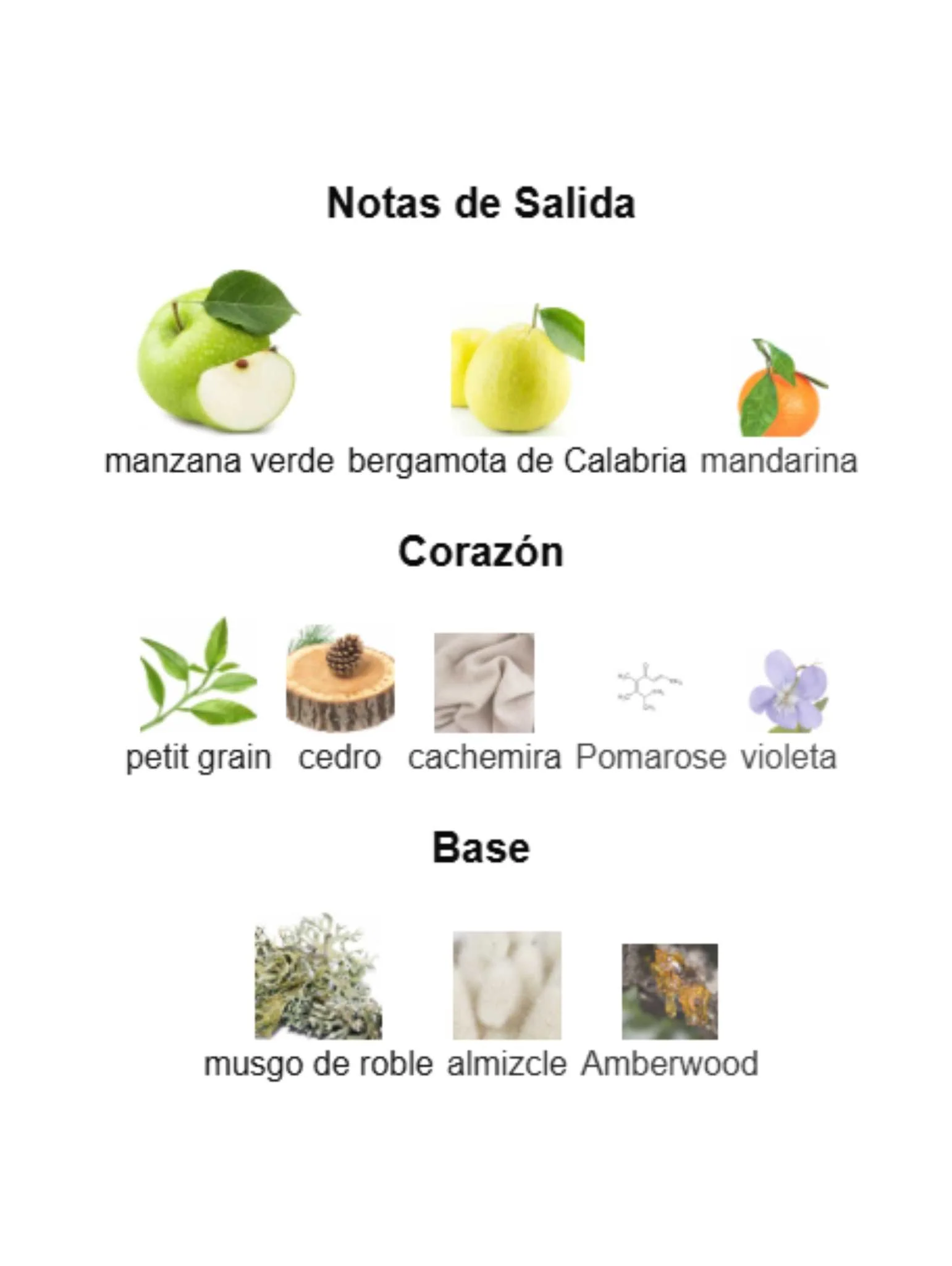 Imagen del producto 2