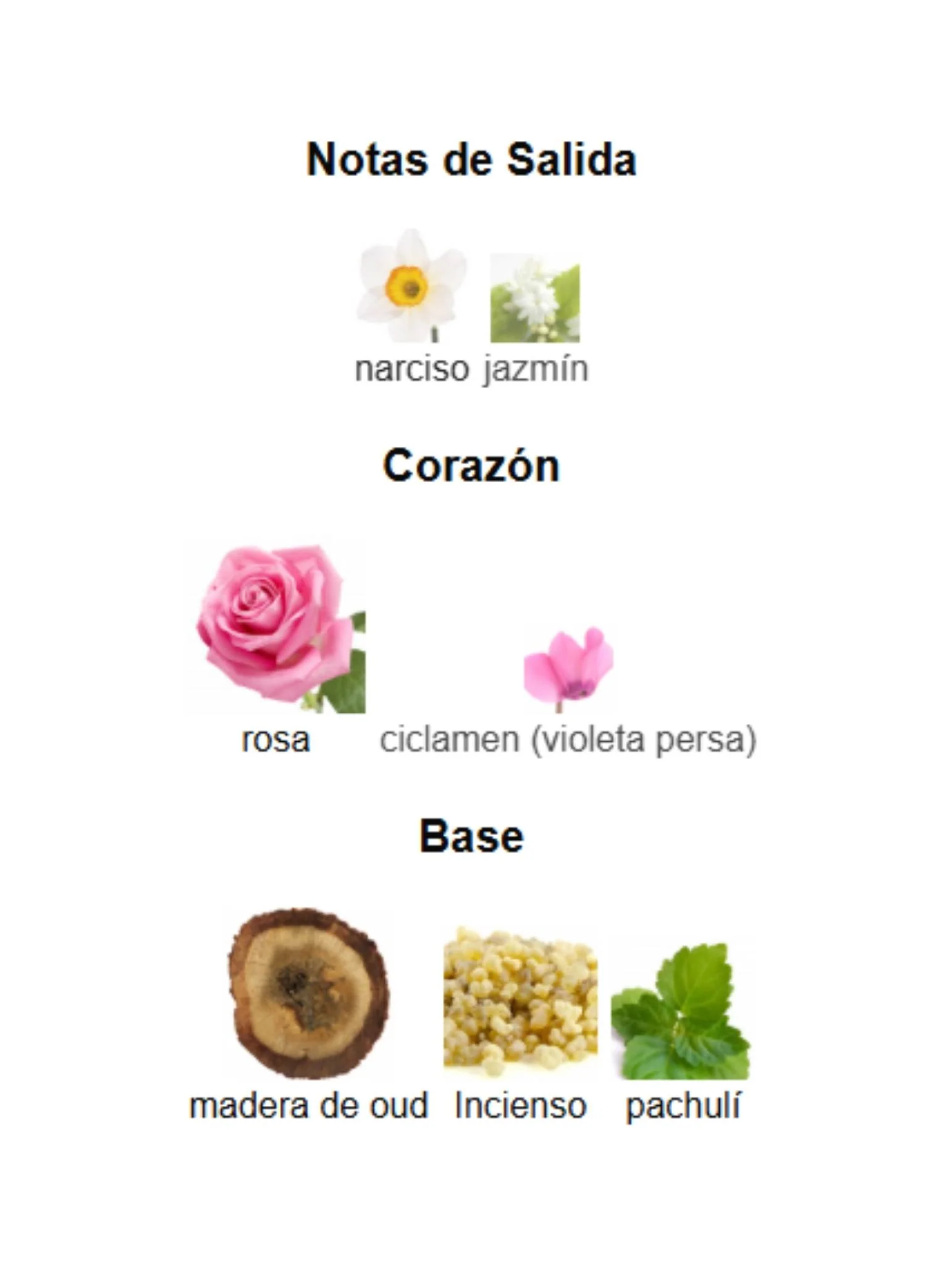 Imagen del producto 3