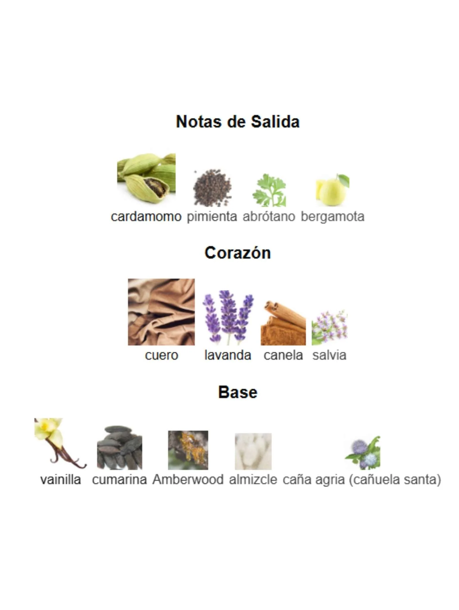 Imagen del producto 3