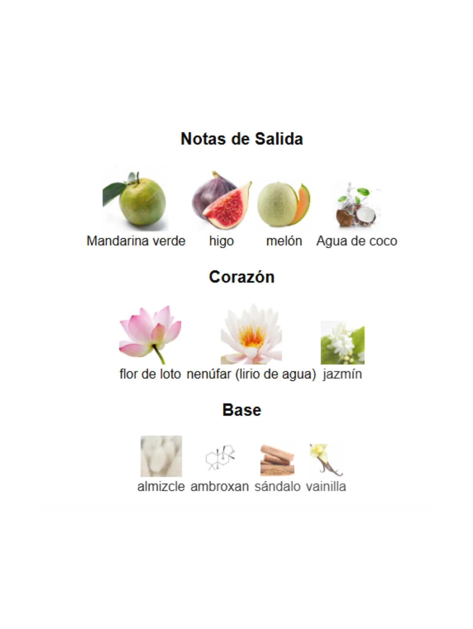 Imagen del producto 3