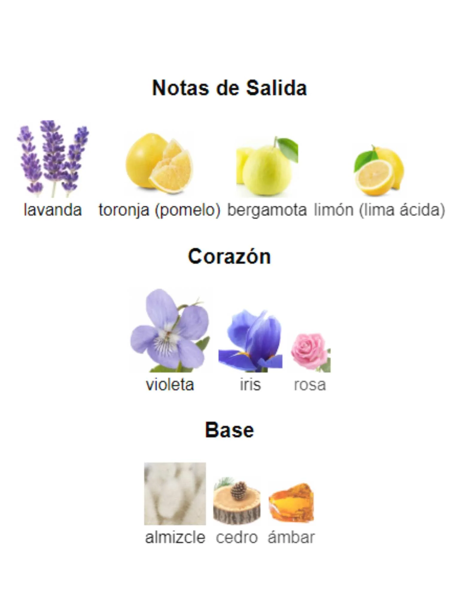 Imagen del producto 3