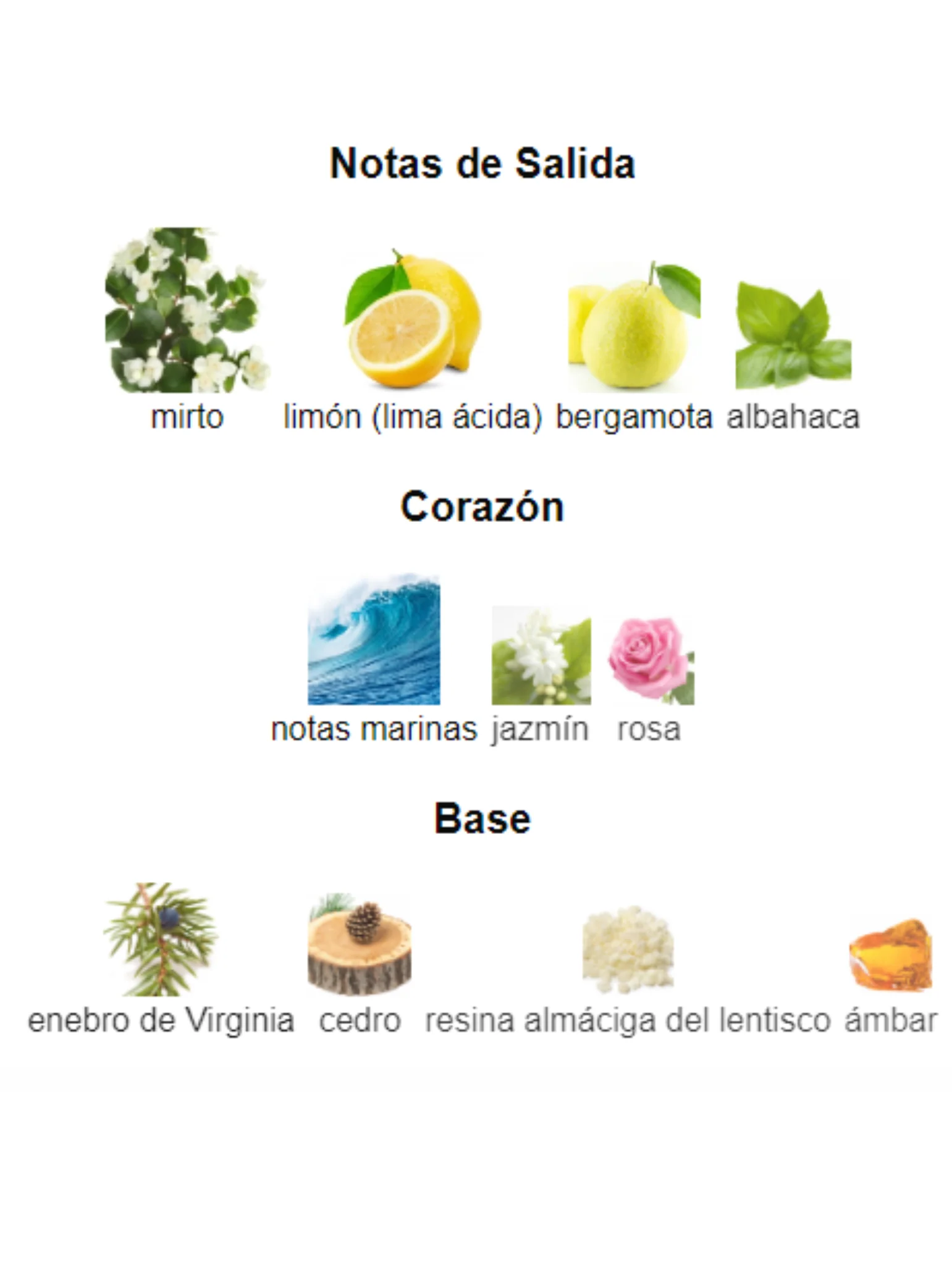 Imagen del producto 3