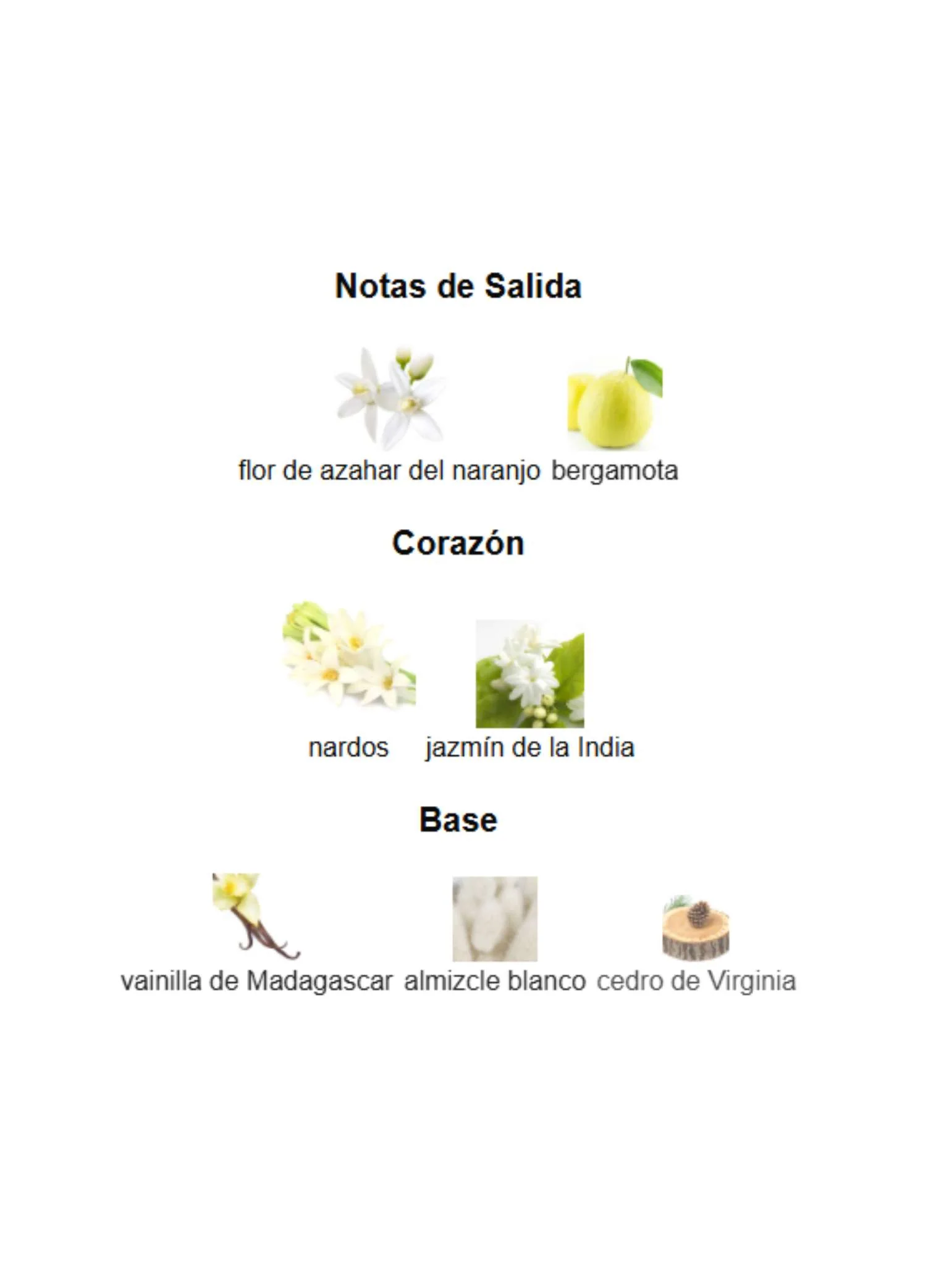 Imagen del producto 3