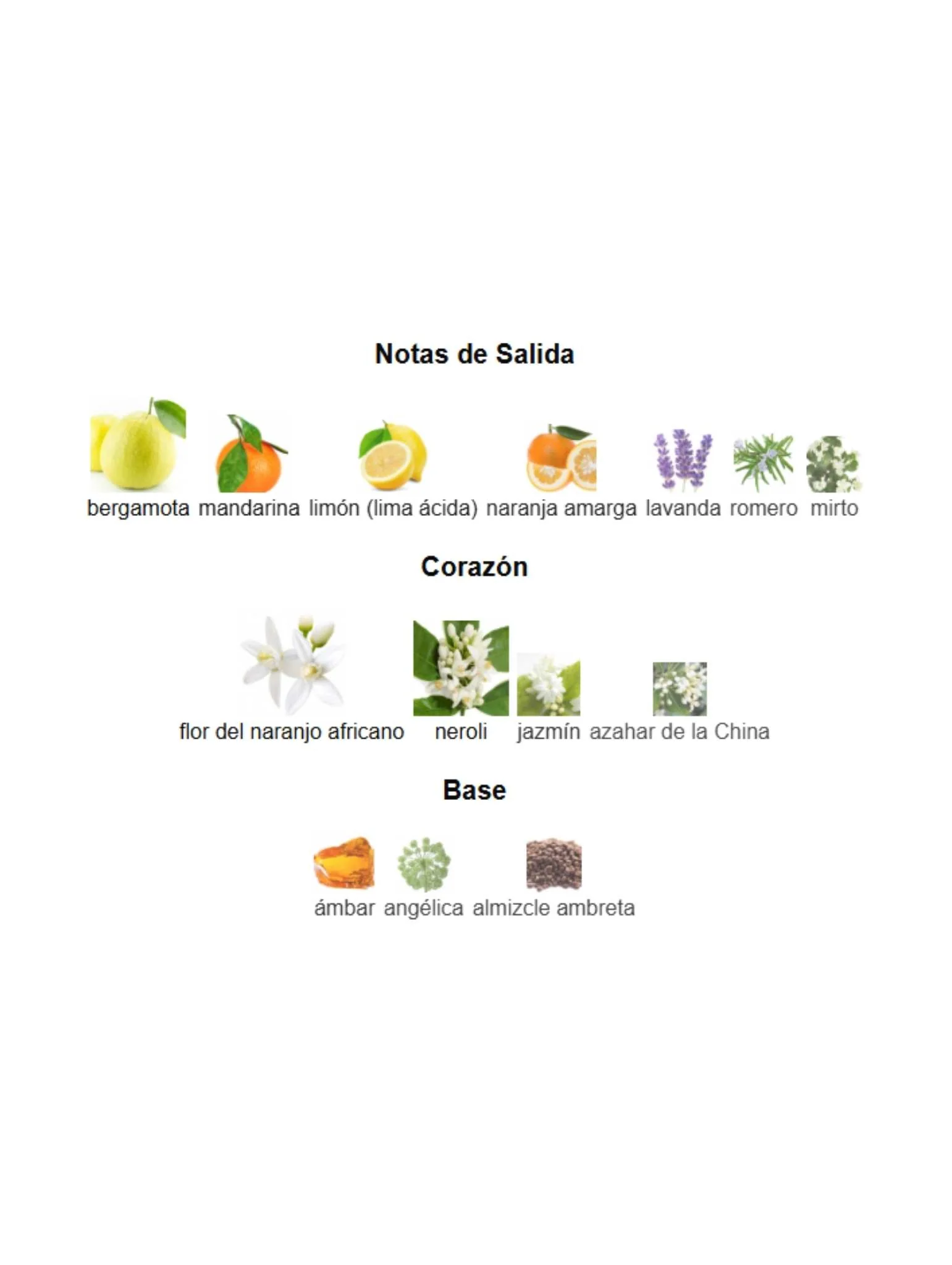 Imagen del producto 3