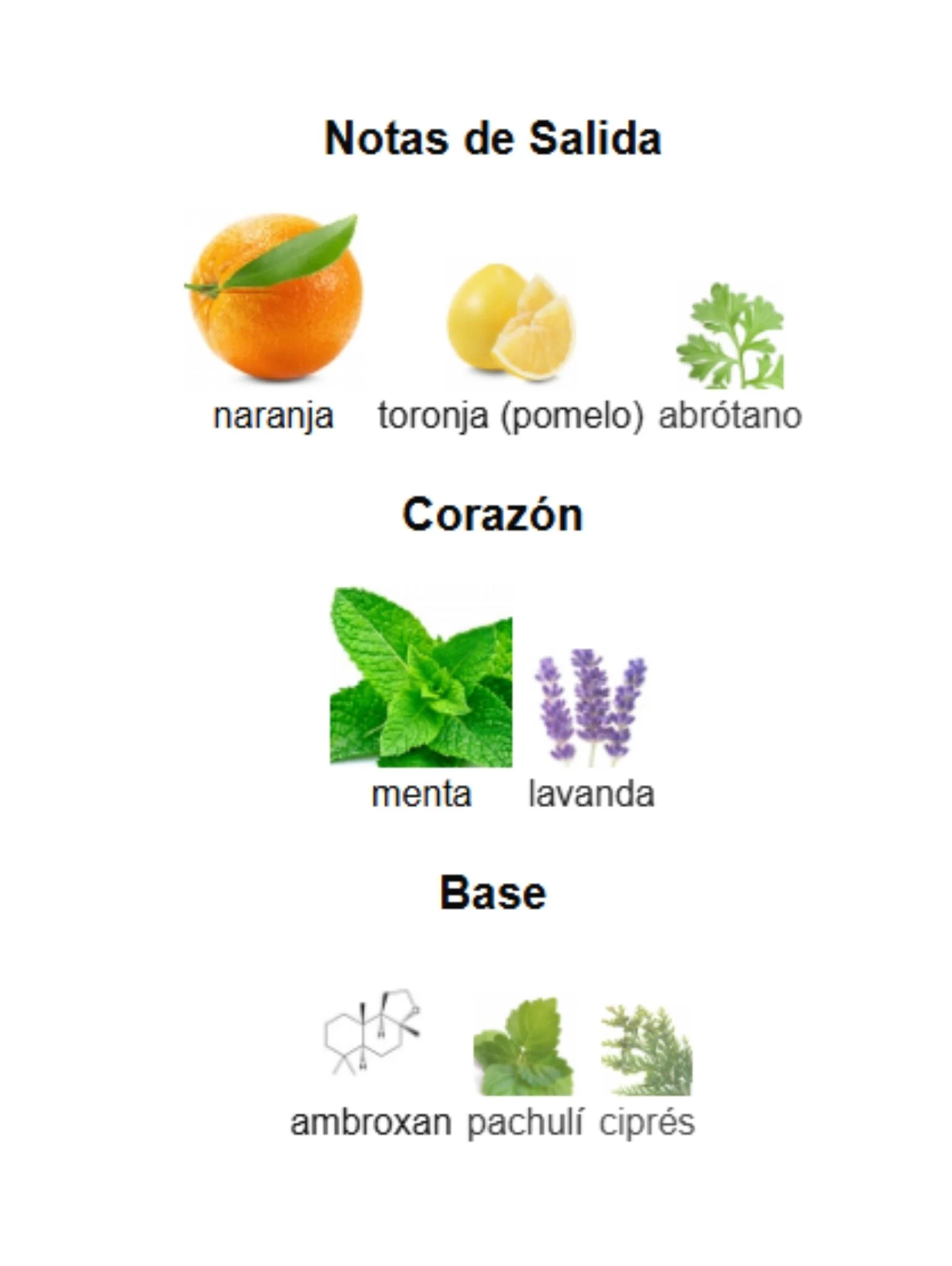 Imagen del producto 3