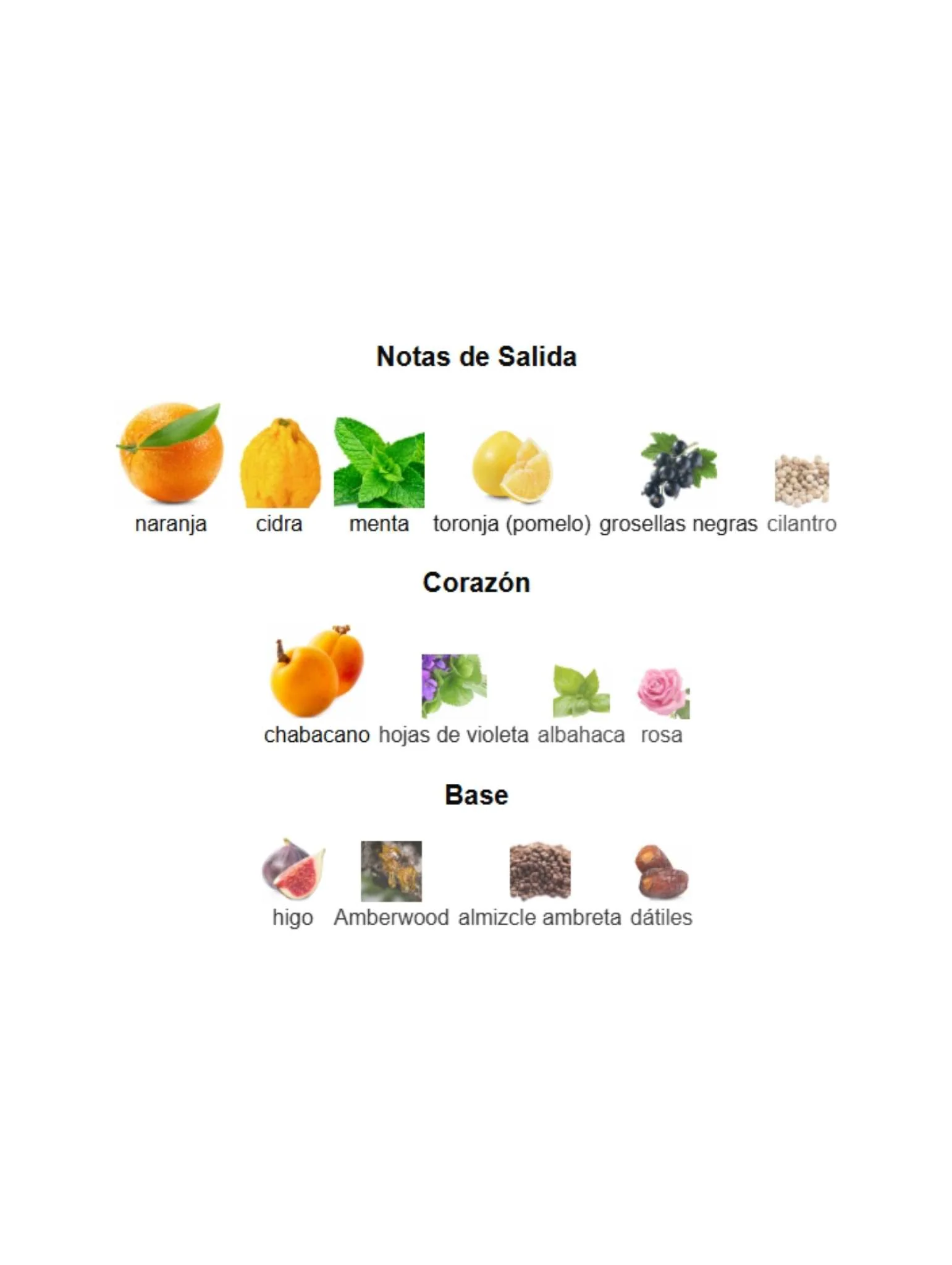 Imagen del producto 3