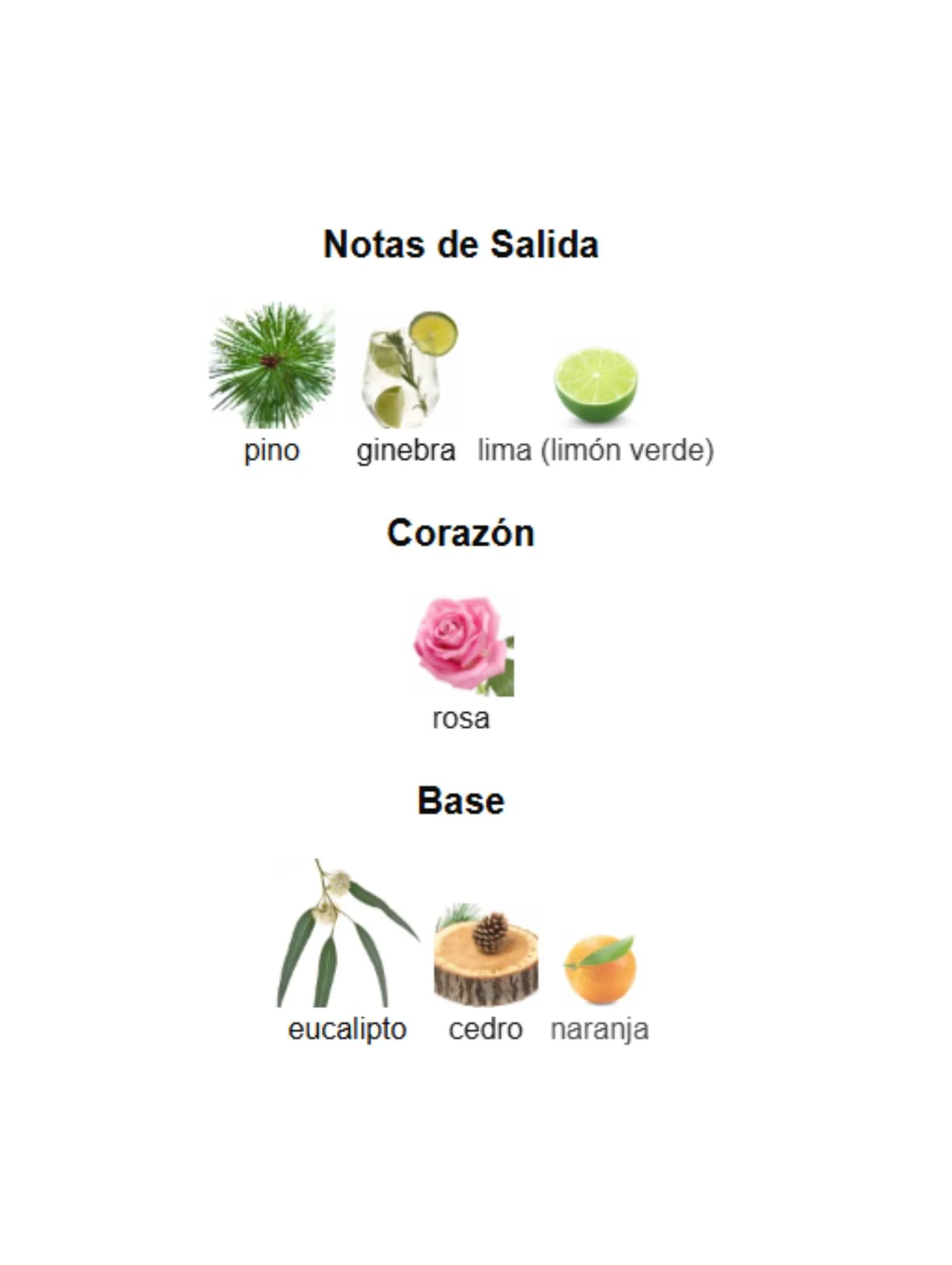 Imagen del producto 3