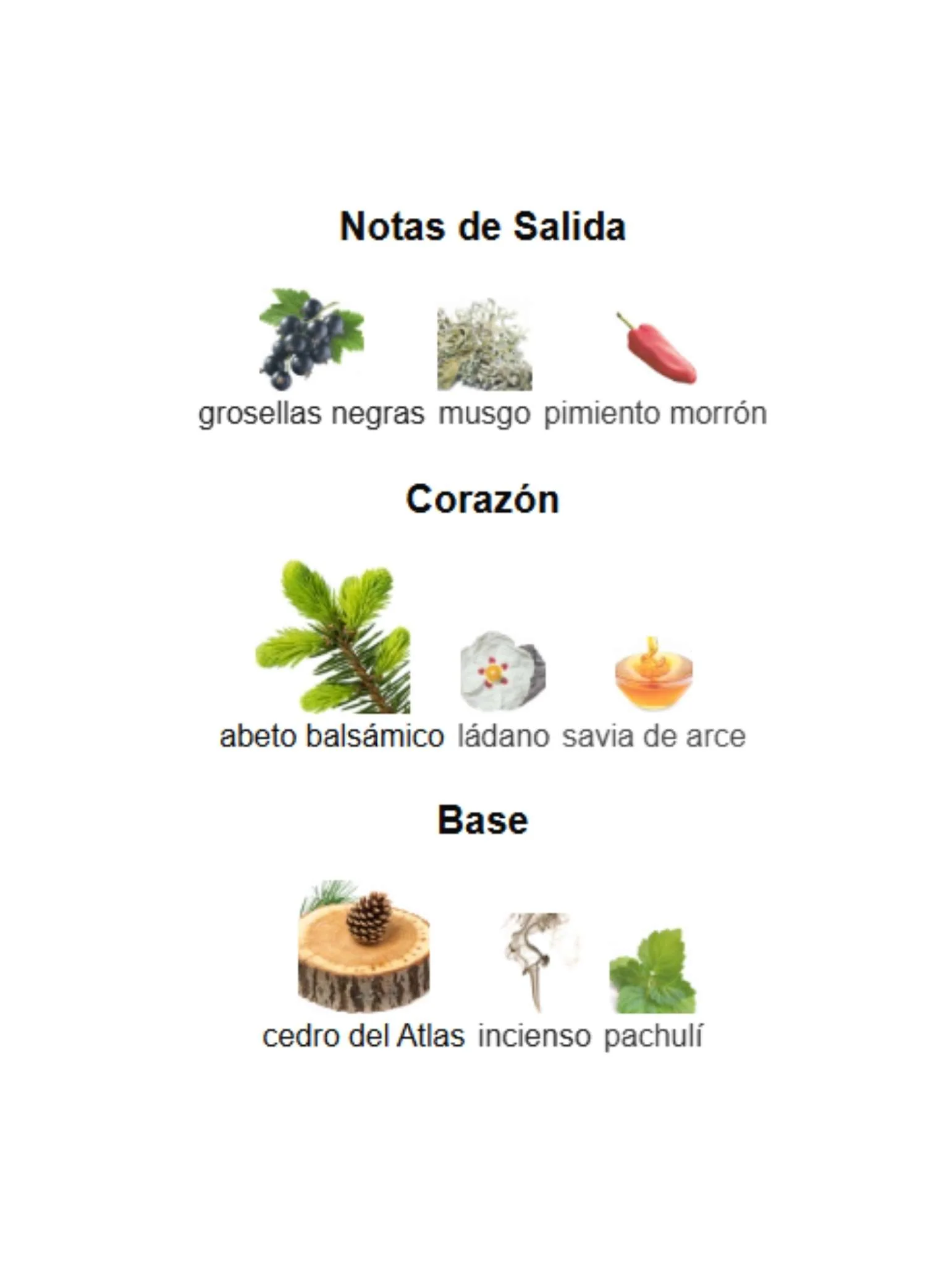 Imagen del producto 3