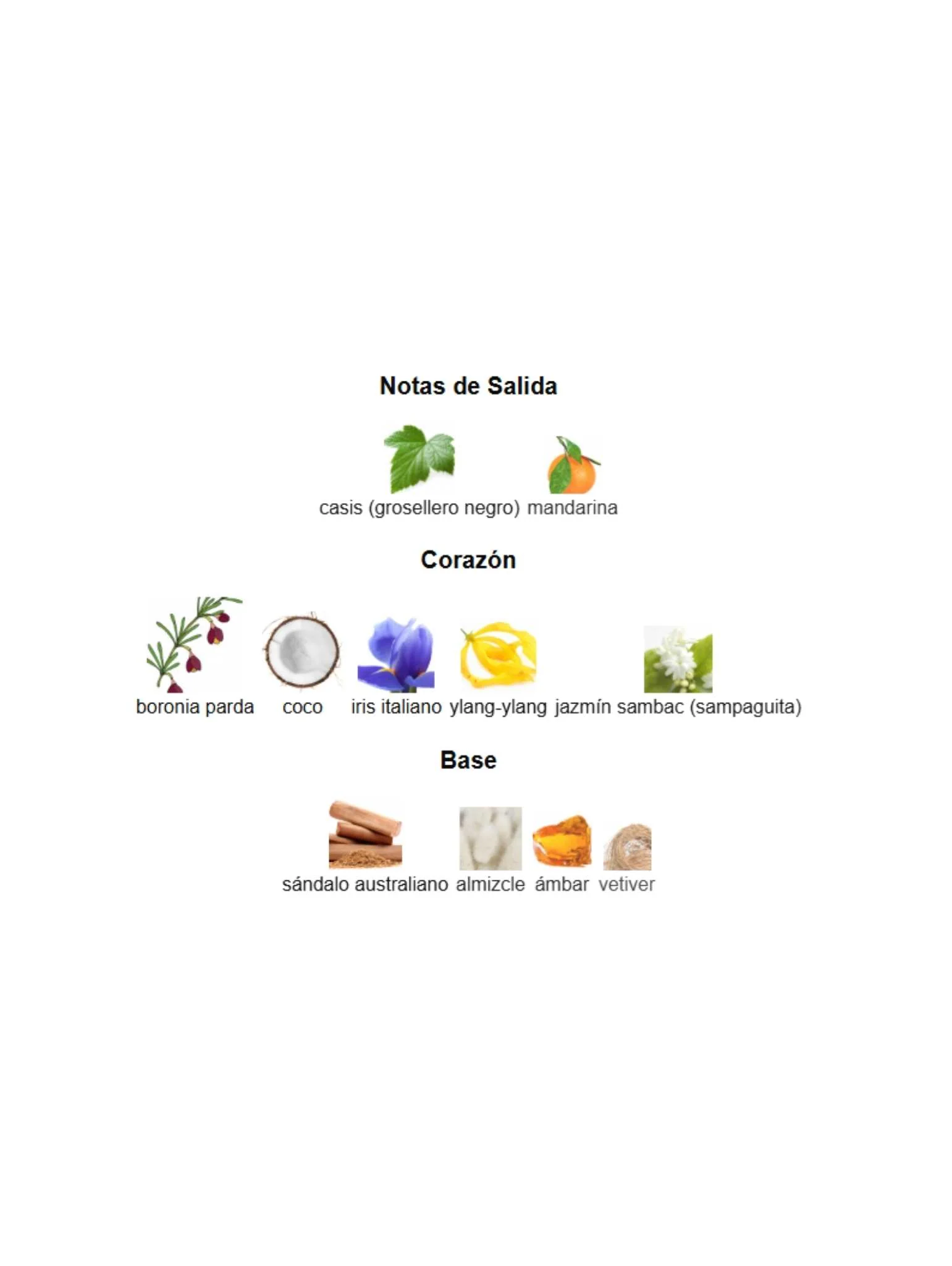 Imagen del producto 3