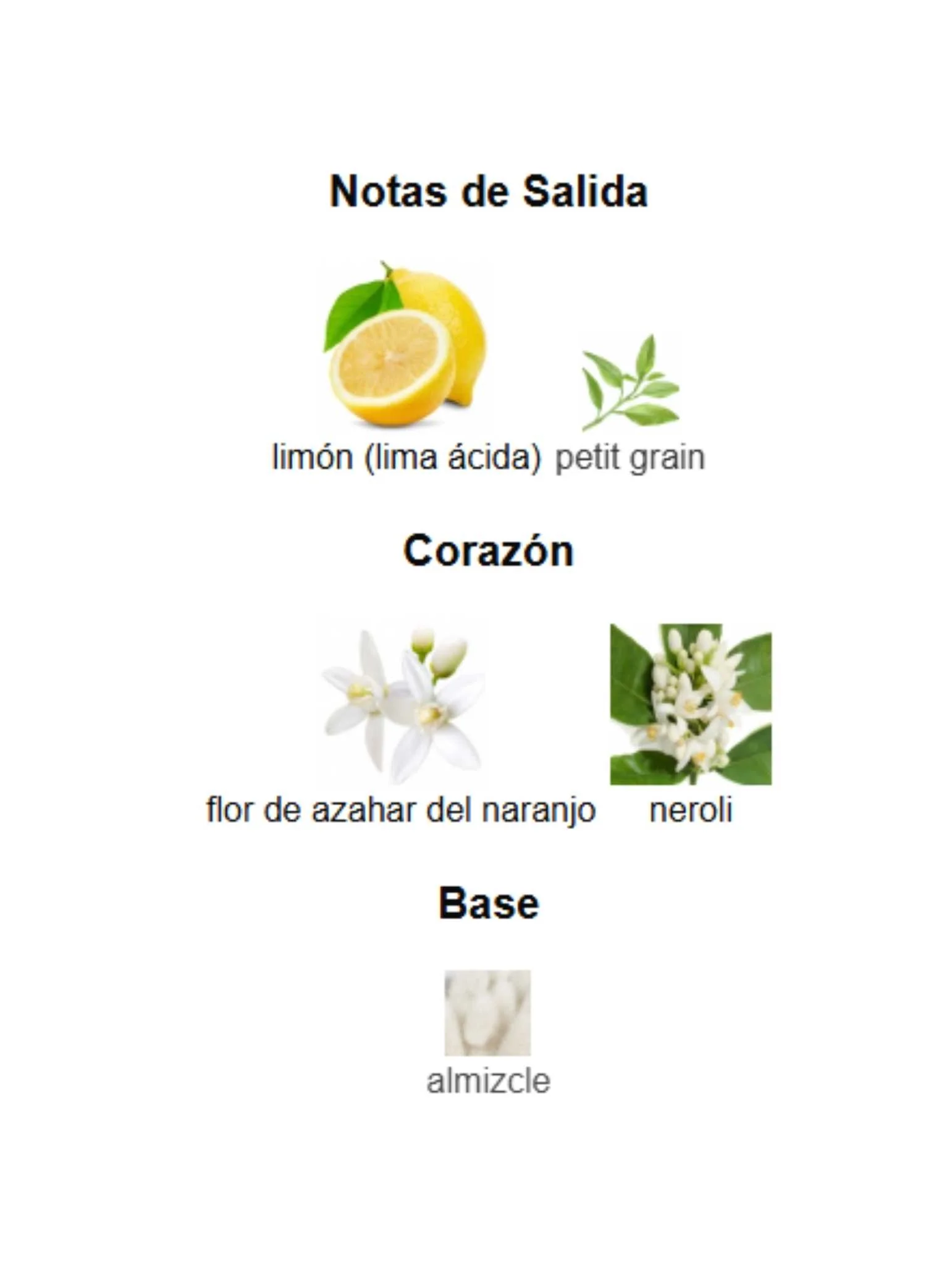 Imagen del producto 3