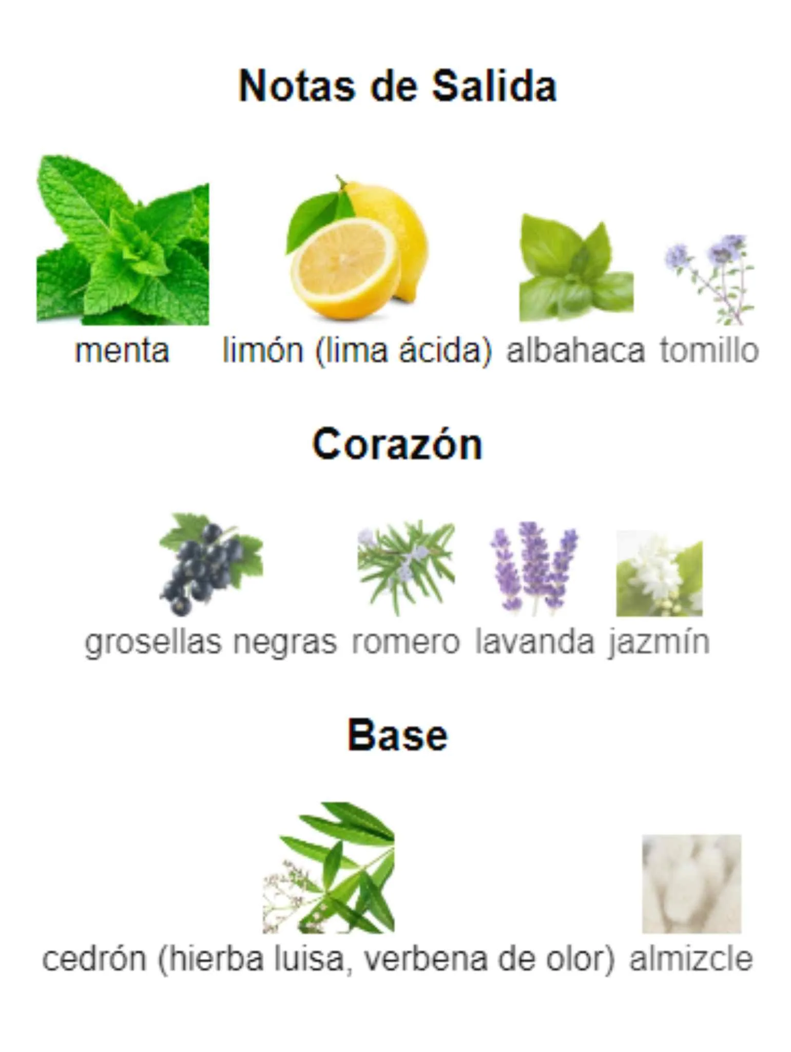 Imagen del producto 3