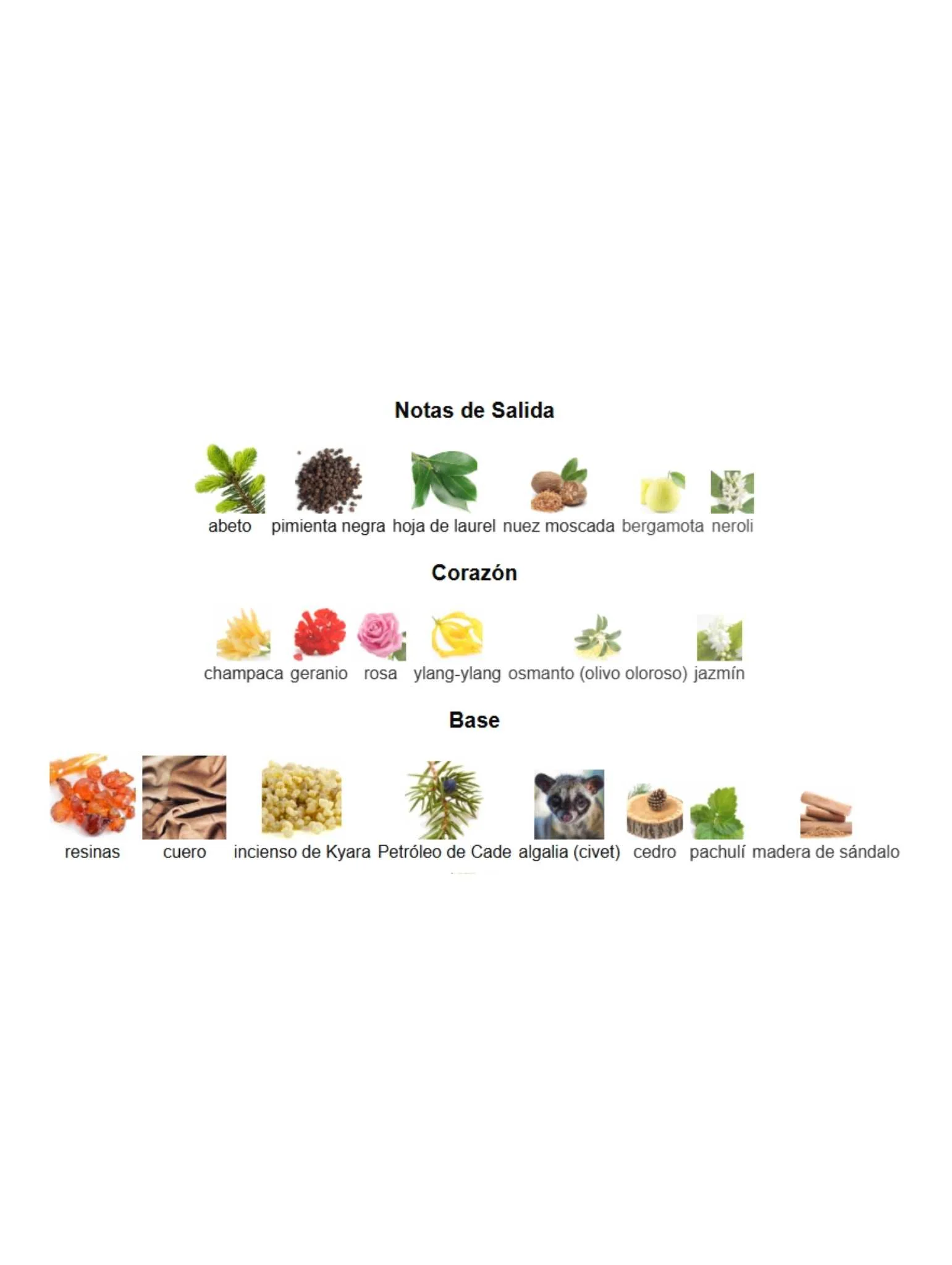 Imagen del producto 3