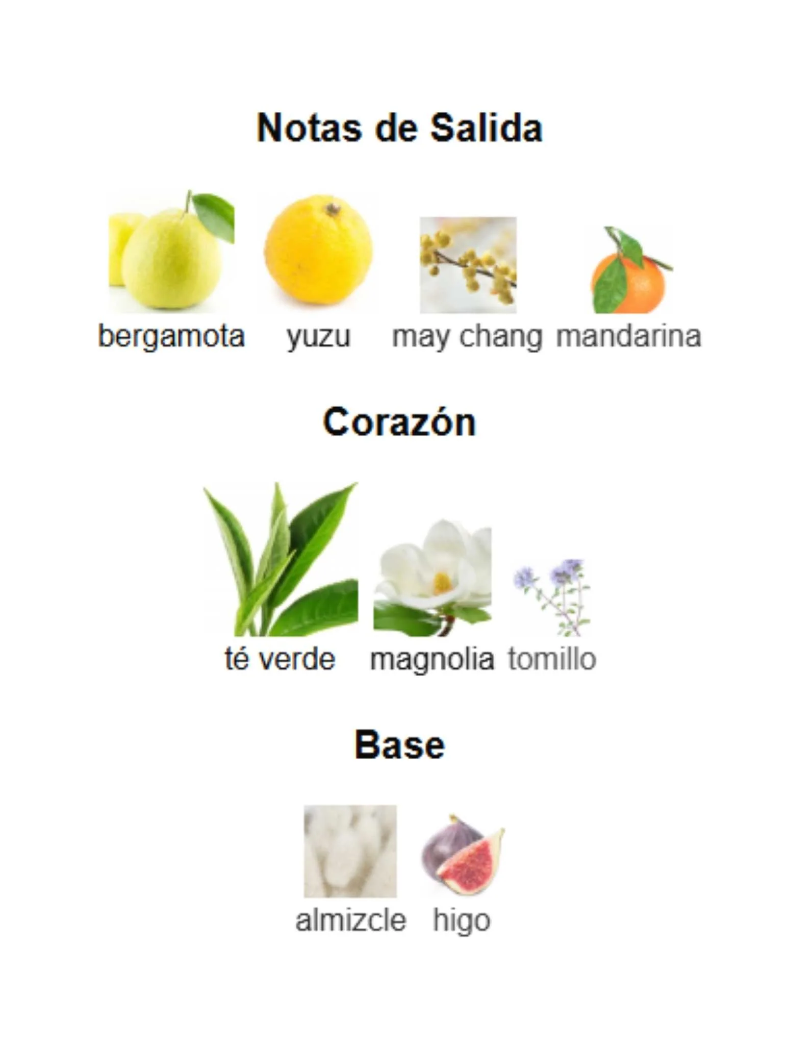 Imagen del producto 3
