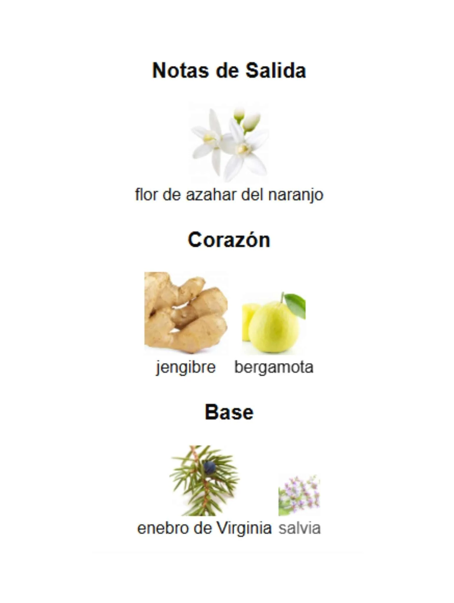 Imagen del producto 3